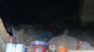 See Us in Action Photo